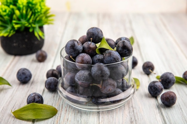 Jamun Honey
